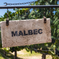 Is Malbec Sweet or Dry? Wine Experts Reveal What to Expect