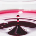The Impact of Wine Ratings: An Expert's Perspective