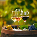 The Art of Wine: Expert Insights on the Best Wines Today