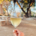 The Expert's Guide to Finding the Perfect Wine