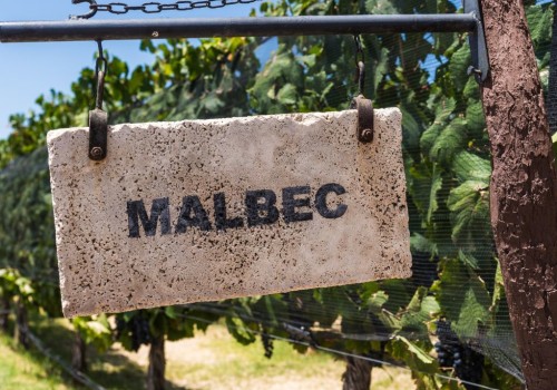 Is Malbec Sweet or Dry? Wine Experts Reveal What to Expect