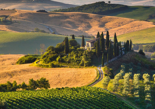 Exploring the World of Wine: A Wine Expert's Perspective
