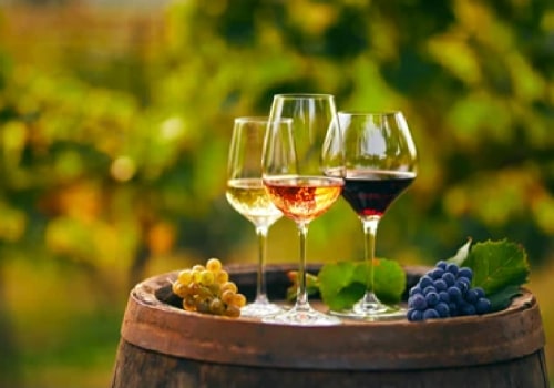 The Art of Wine: Expert Insights on the Best Wines Today
