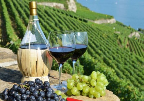 The Top Wines of the Year: A Wine Expert's Guide
